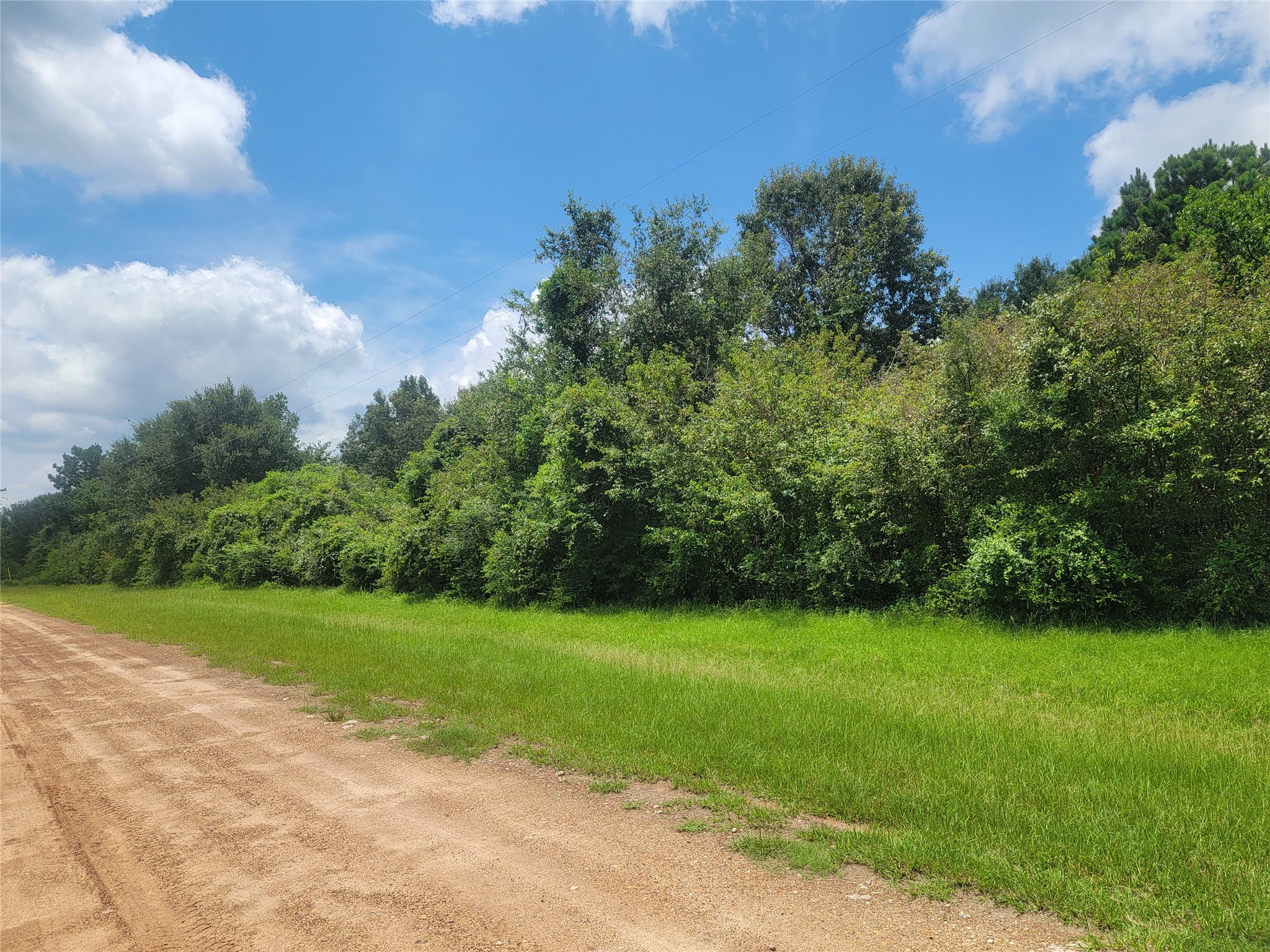 0 Farm Pasture Road Shepherd, TX 77371 - Photo 2 of 6