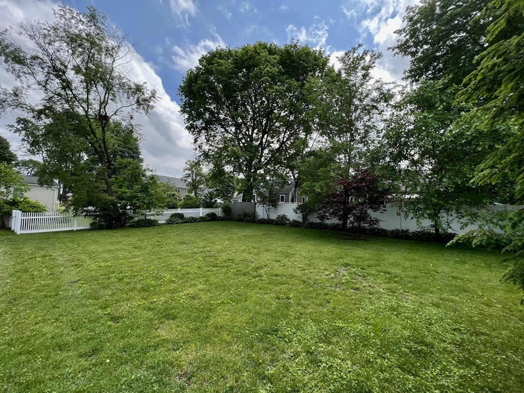 28 Farmington Road Newton, MA 02465 - Photo 4 of 6 a view of a trees in a yard