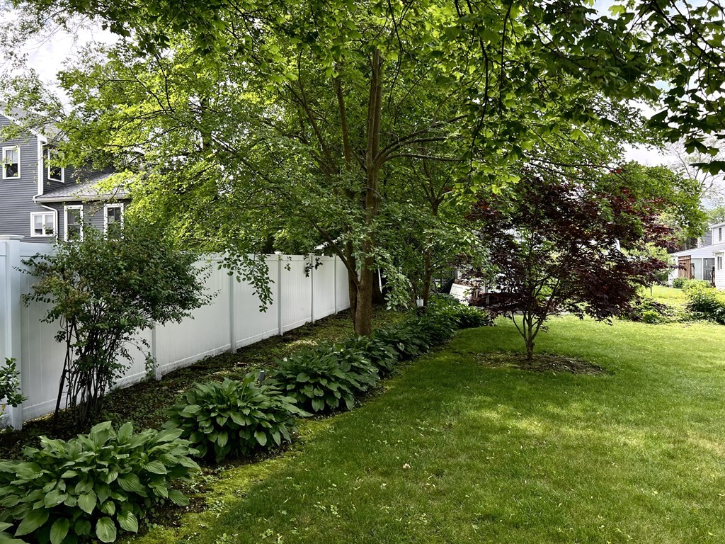 28 Farmington Road Newton, MA 02465 - Photo 6 of 6 a view of a garden with large trees