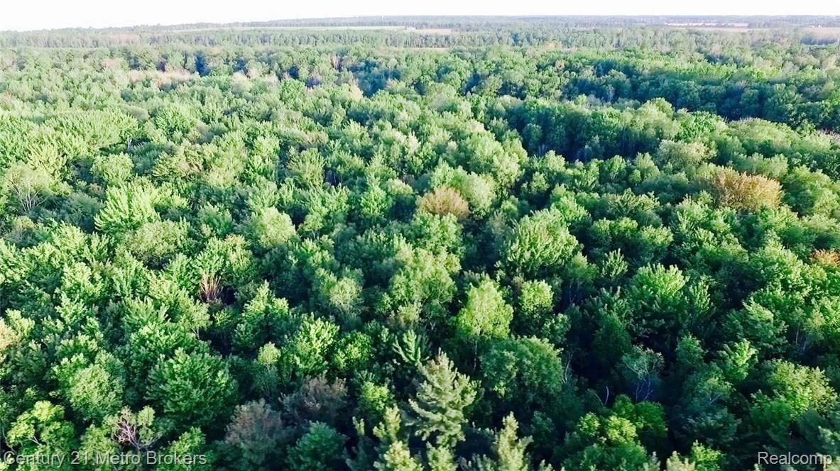 0 Huron Line Road East Minden City, MI 48456 - Photo 10 of 63 Screen Shot 2017-09-09 at 8.17