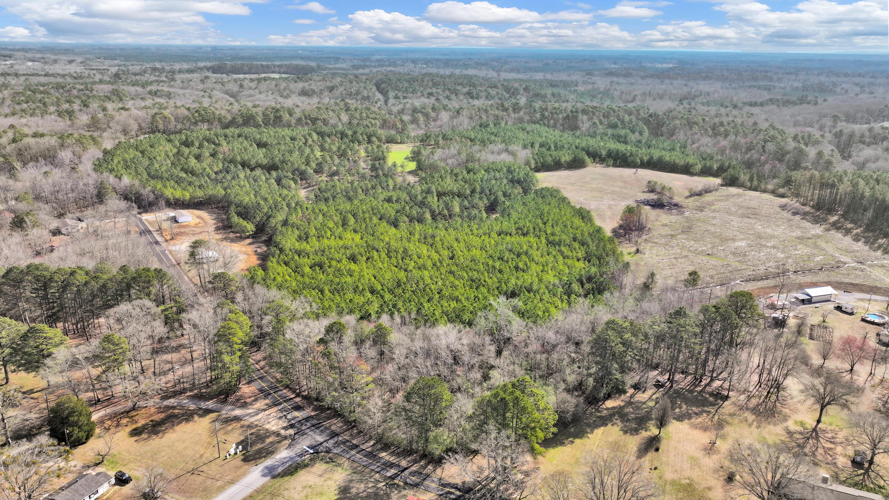 Lot 2 Duncan Road Nauvoo, AL 35578 - Photo 15 of 28 Gallery Image 15