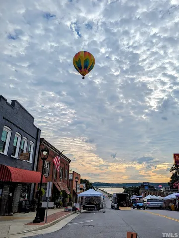 a view of a bunch of flowers