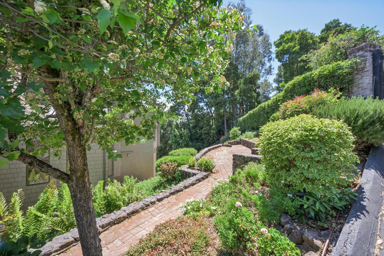 260 Highland Avenue San Rafael, CA 94901 - Photo 51 of 66