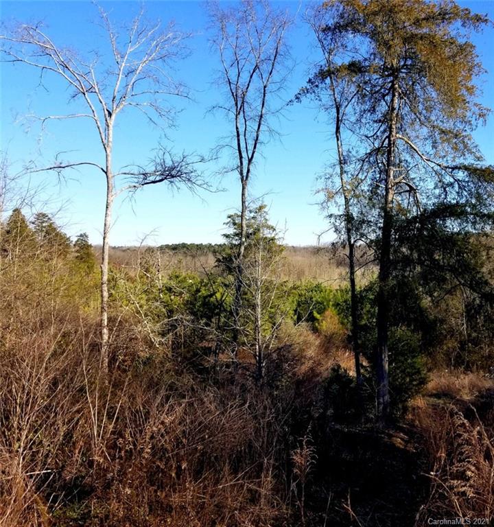 Tbd Tbd Ansonville Road Marshville, NC 28103 - Photo 2 of 21
