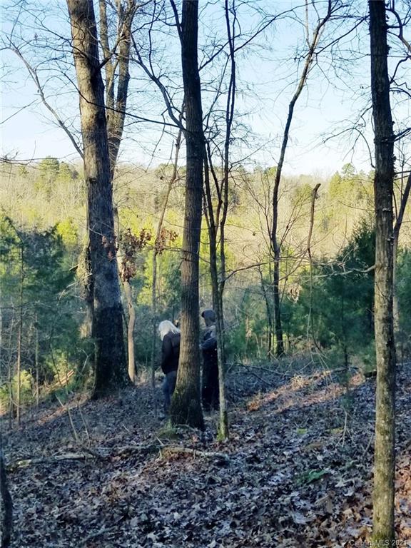 Tbd Tbd Ansonville Road Marshville, NC 28103 - Photo 13 of 21