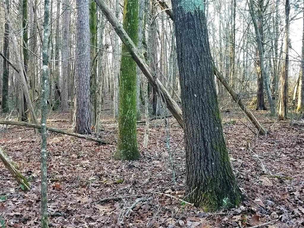 Tbd Tbd Ansonville Road Marshville, NC 28103 - Photo 6 of 21