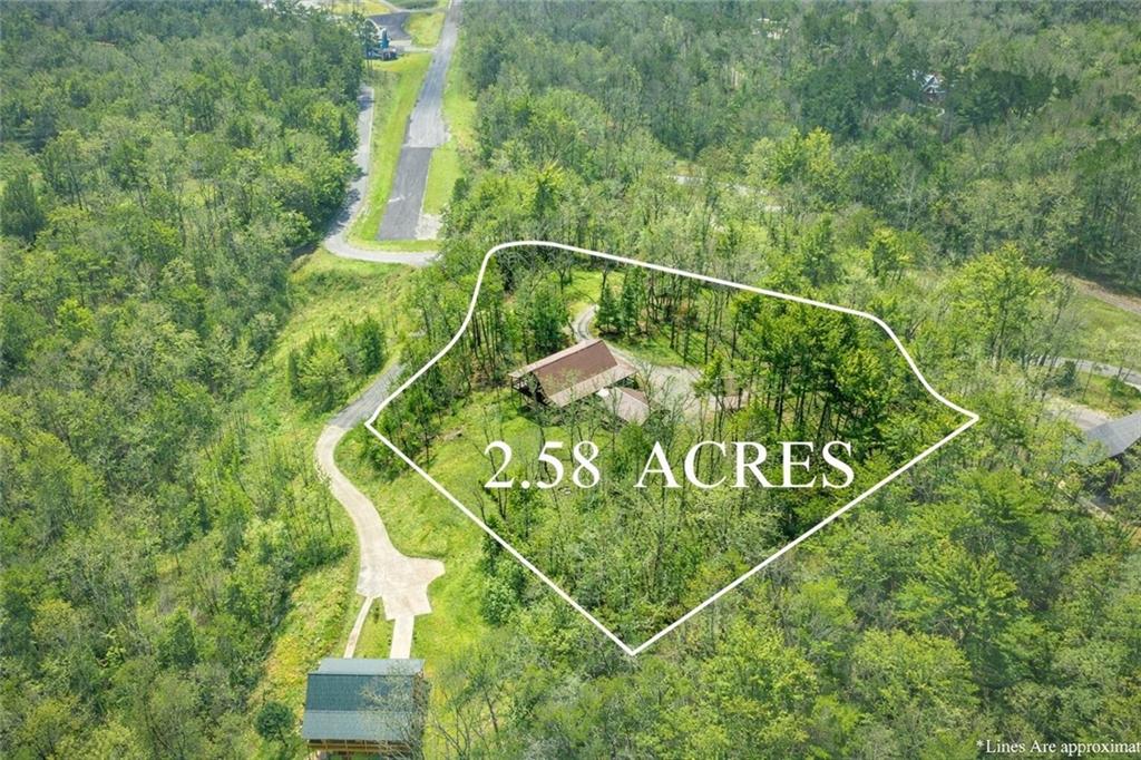 259 Red Bush School Road Blue Ridge, GA 30513 - Photo 18 of 46