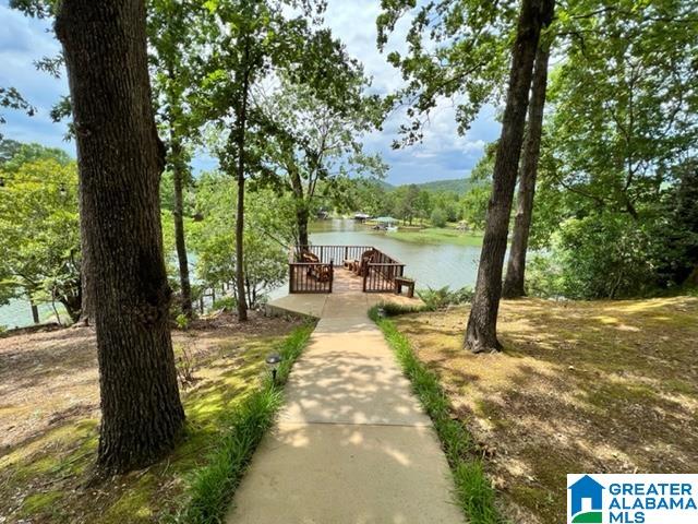 490 Odonnell Road Ashville, AL 35953 - Photo 7 of 44
