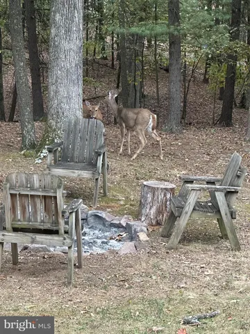 a view of backyard with a deck and wooden floor
