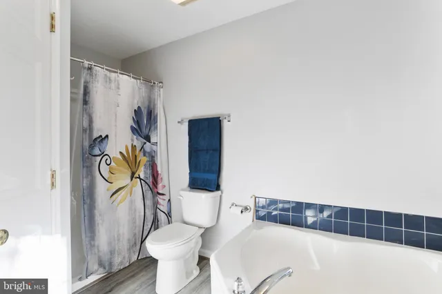 a view of a lush green field with a mountain in the background