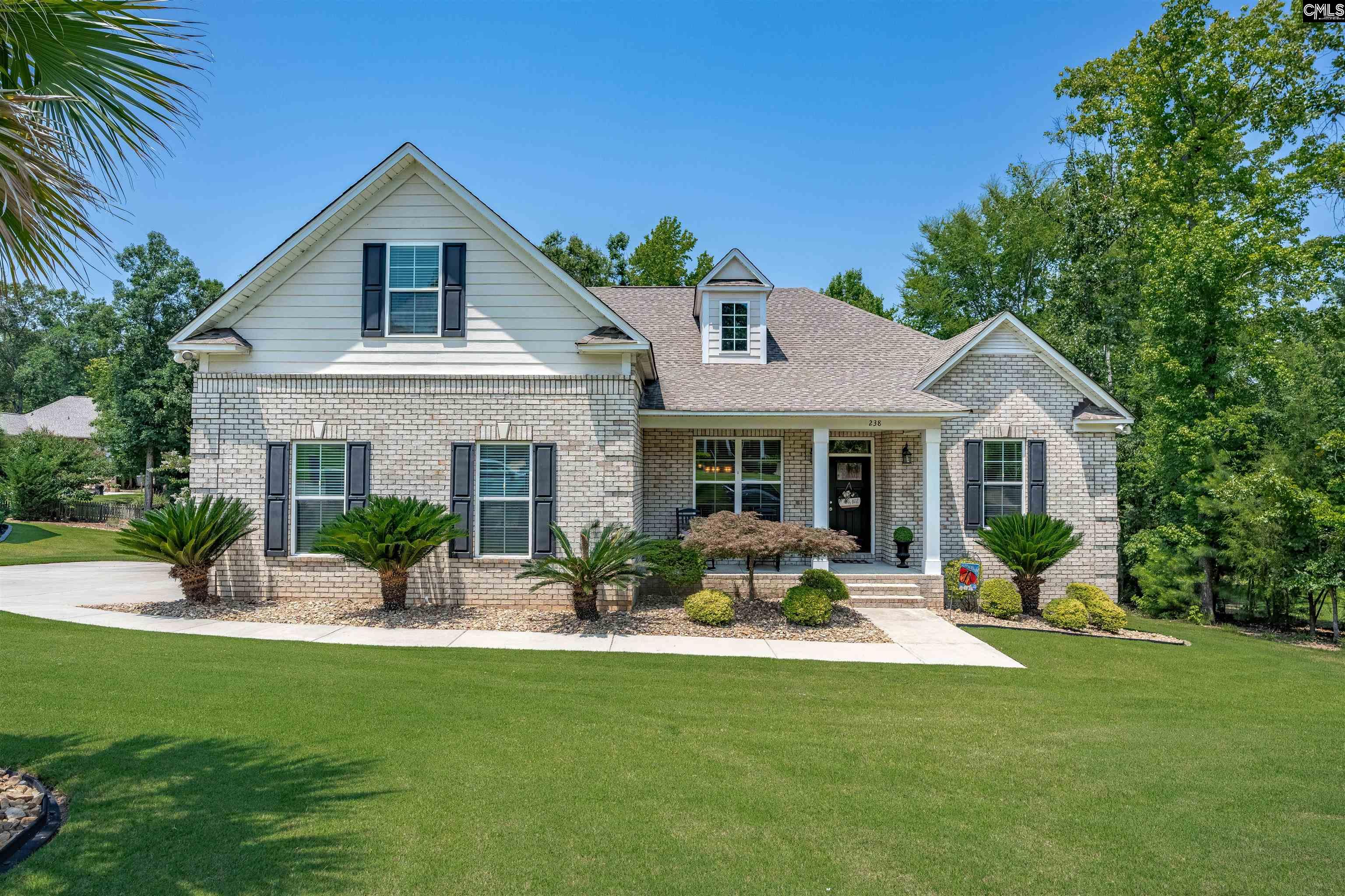 238 Hilton View Court Chapin, SC 29036 - Photo 1 of 63