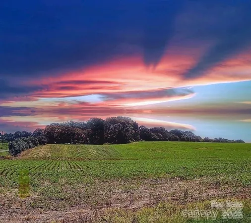 a view of a big yard with flower plants and wooden fence