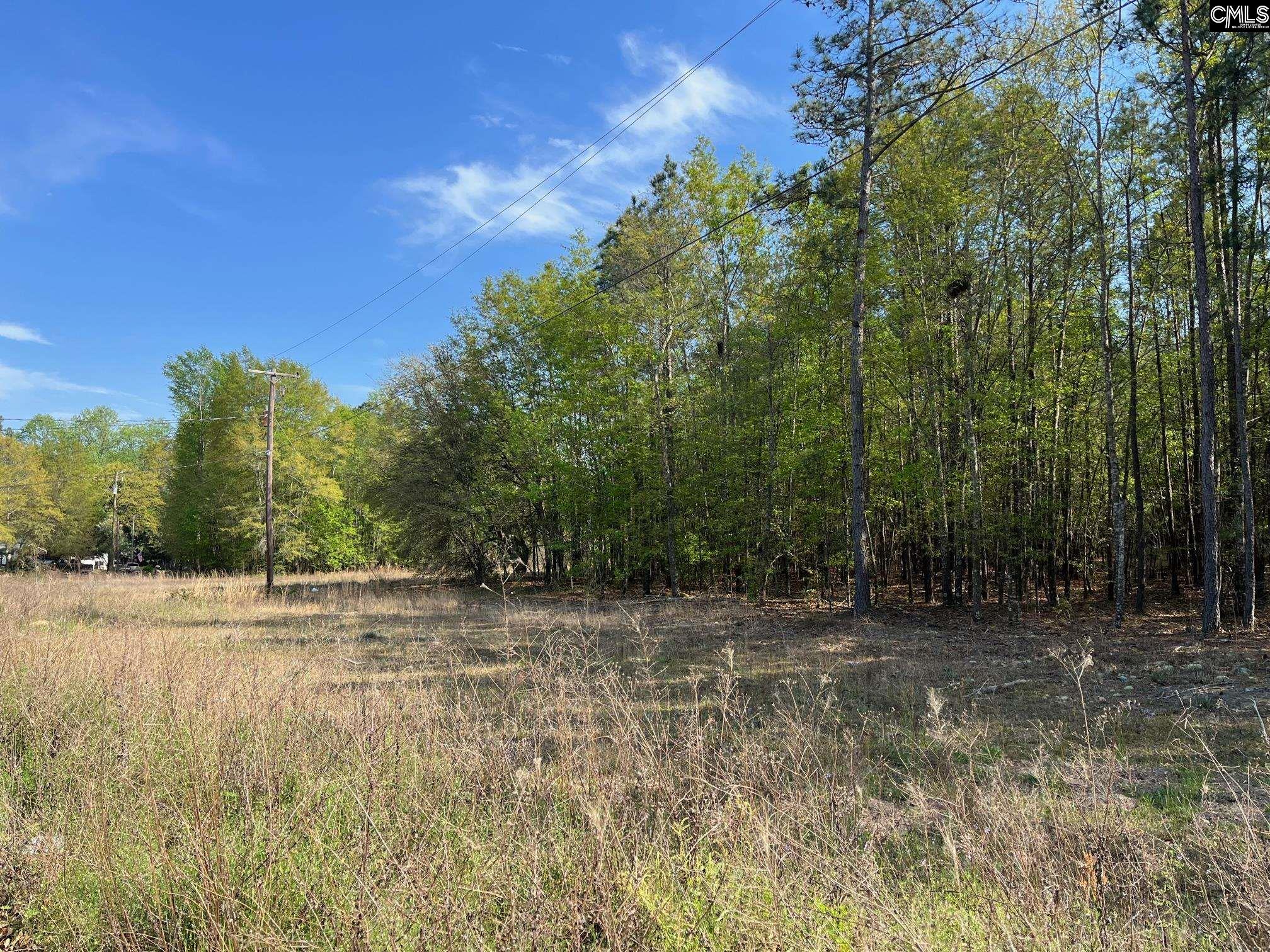 0 Cottage Road West Columbia, SC 29172 - Photo 1 of 5