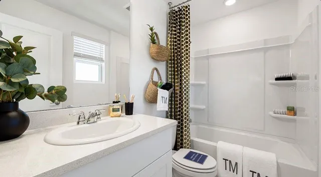 a view of a backyard with palm trees