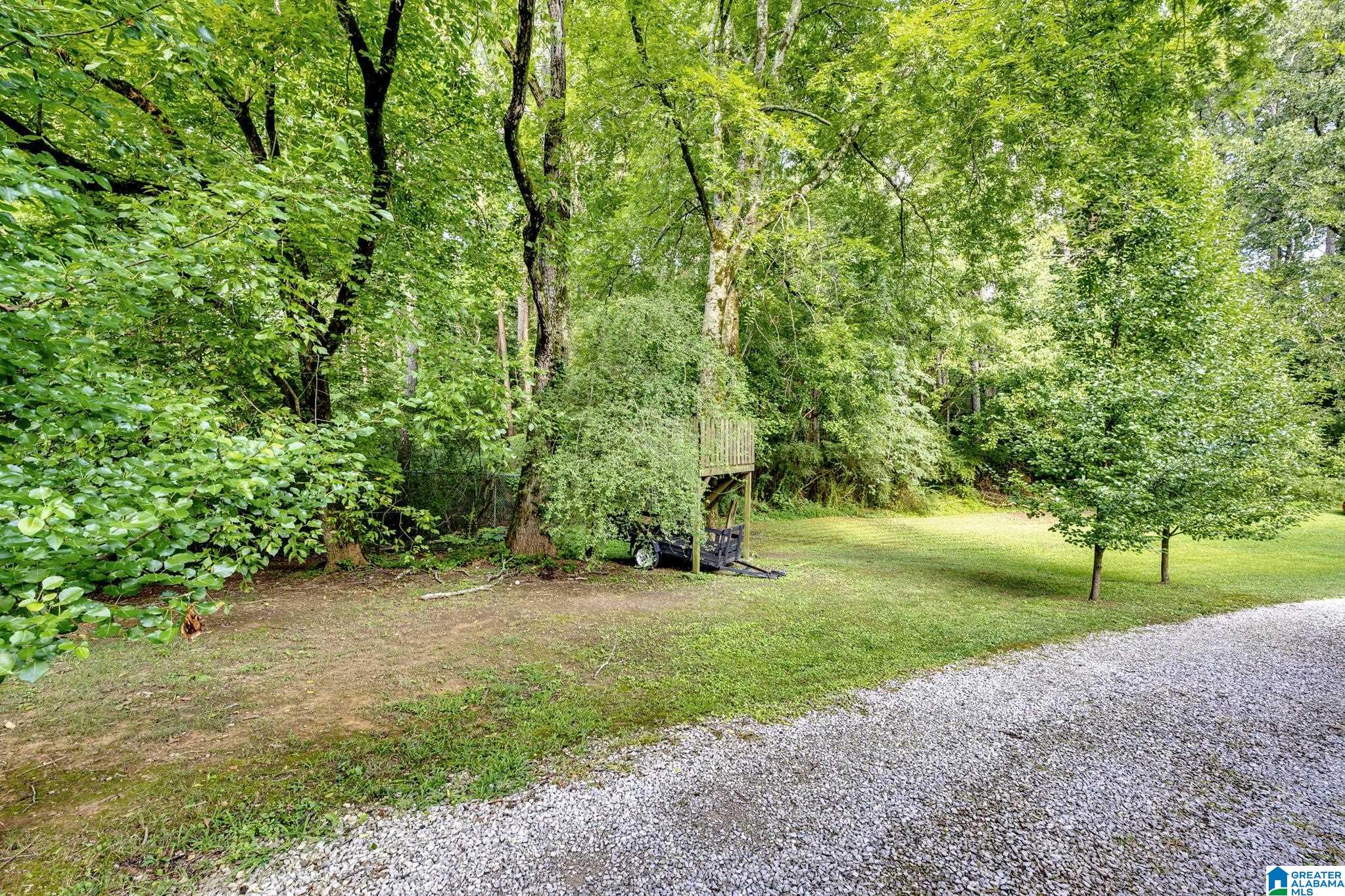 400 North Pine Hill Road Birmingham, AL 35217 - Photo 7 of 20