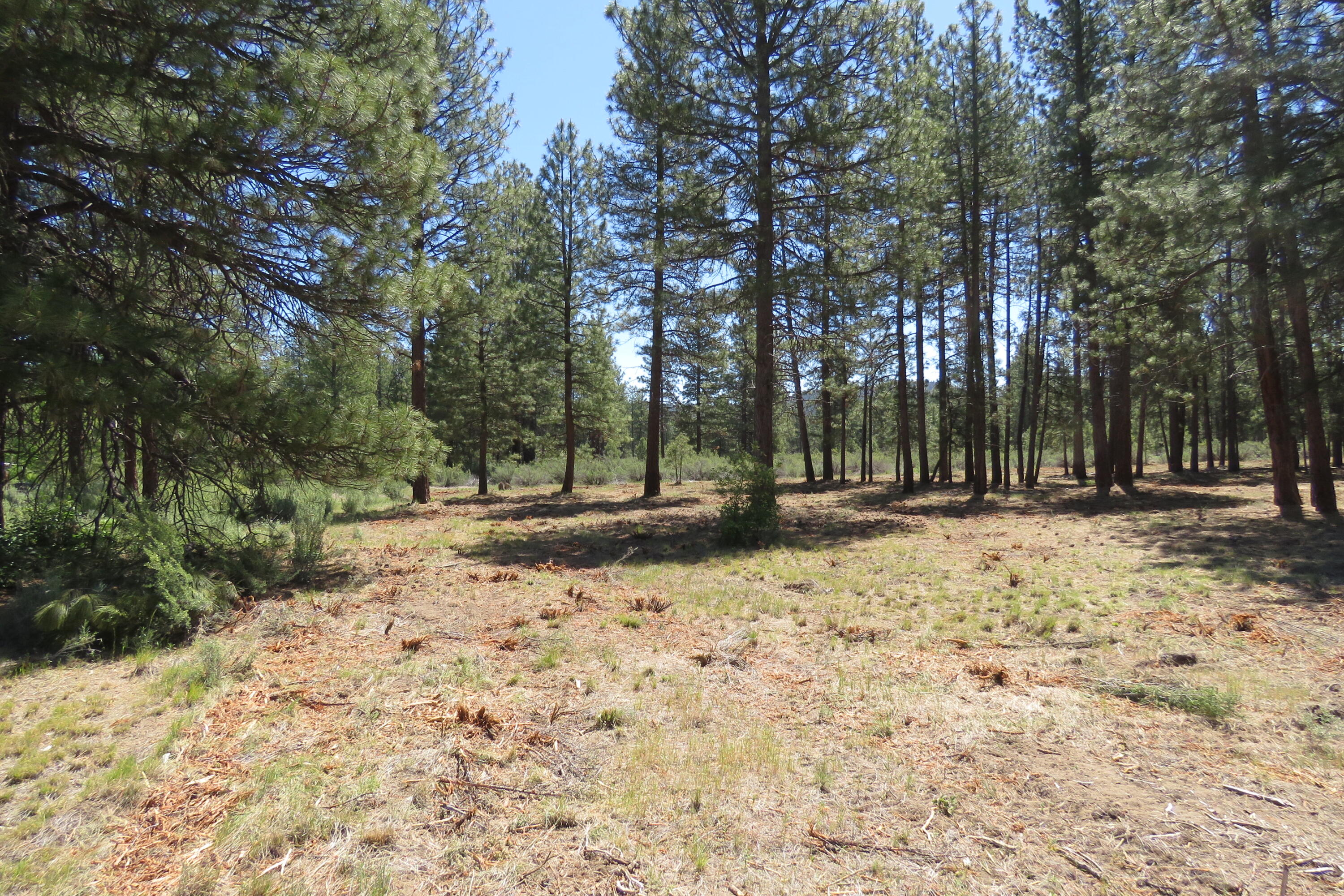 7 Castle Drive Chiloquin, OR 97624 - Photo 10 of 26 IMG_4602