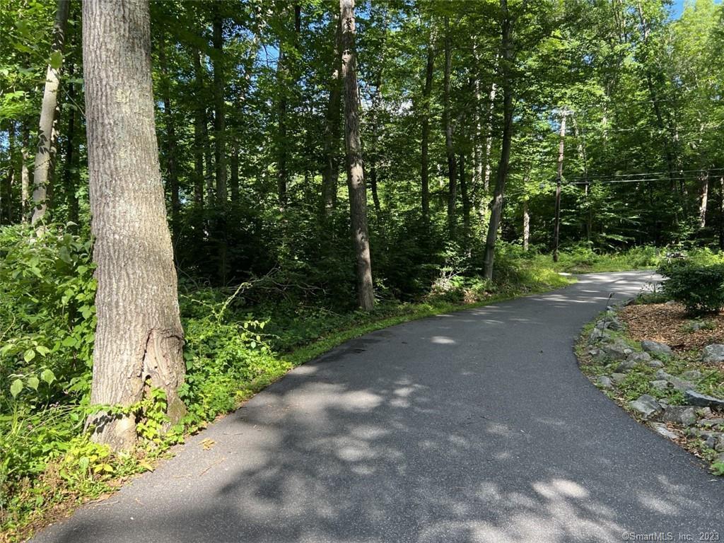 29 Merwin Brook Road Brookfield, CT 06804 - Photo 1 of 1 a view of a street with a trees