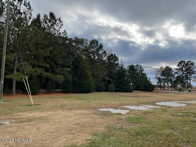 1649 Dover Fort Barnwell Road Dover, NC 28526 - Photo 24 of 35 IMG_0022