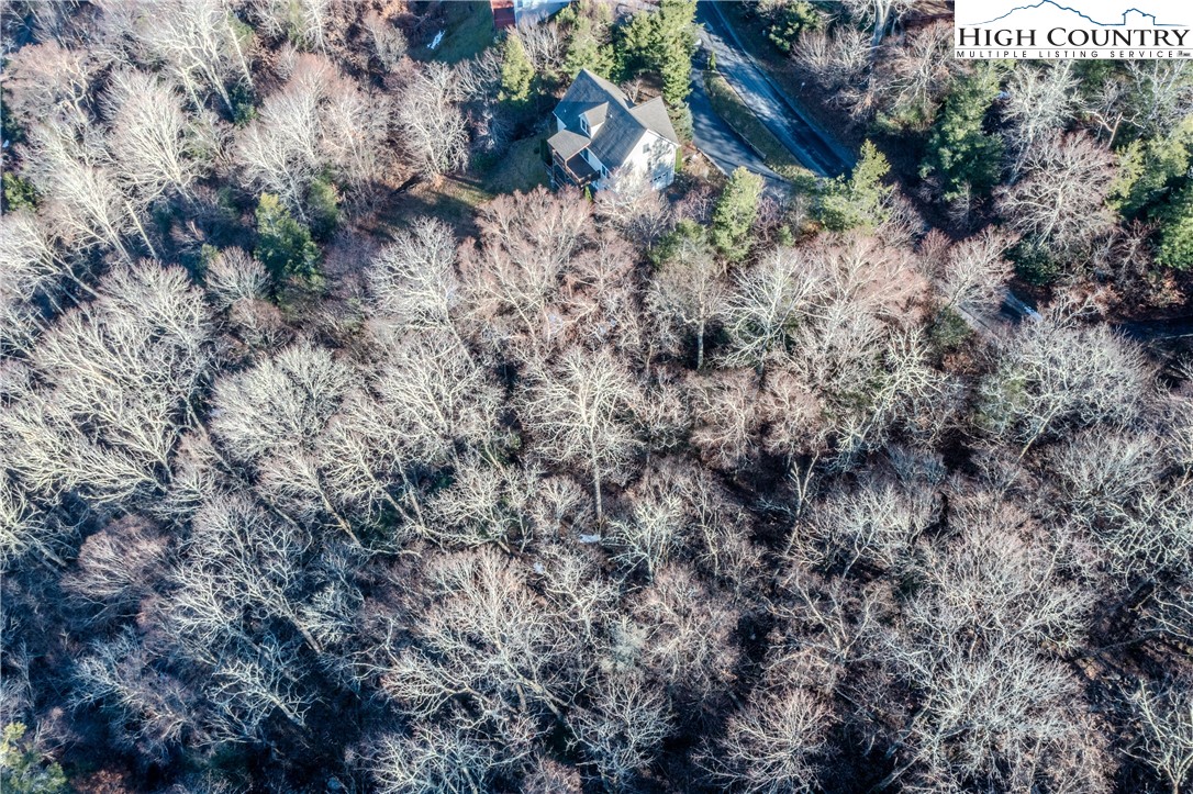 Lot 77 Rock Spring Circle Sugar Mountain, NC 28604 - Photo 11 of 20 a view of a forest with a tree