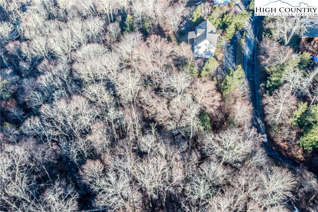 Lot 77 Rock Spring Circle Sugar Mountain, NC 28604 - Photo 12 of 20 a view of a forest with lots of trees