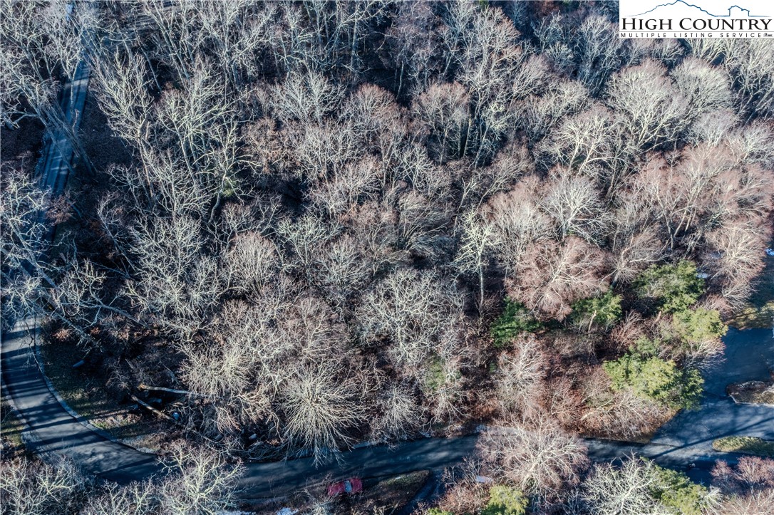 Lot 77 Rock Spring Circle Sugar Mountain, NC 28604 - Photo 13 of 20 a view of a city with lush green forest