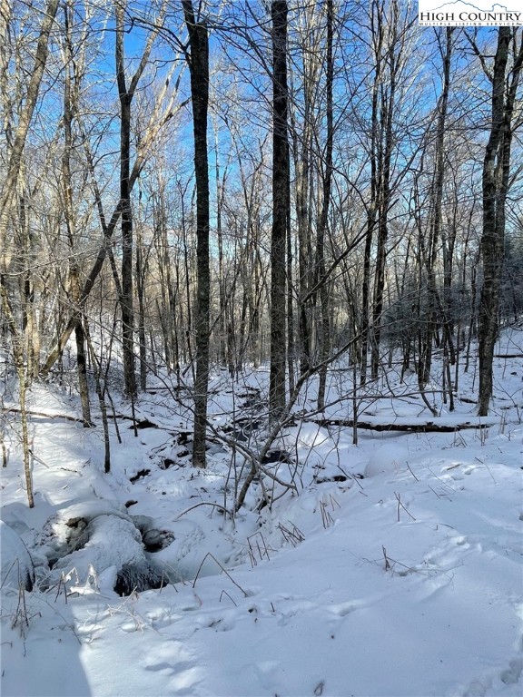 Lot 77 Rock Spring Circle Sugar Mountain, NC 28604 - Photo 18 of 20 a view of a yard covered with snow in the background