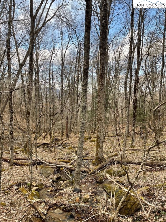 Lot 77 Rock Spring Circle Sugar Mountain, NC 28604 - Photo 20 of 20 a backyard of a building