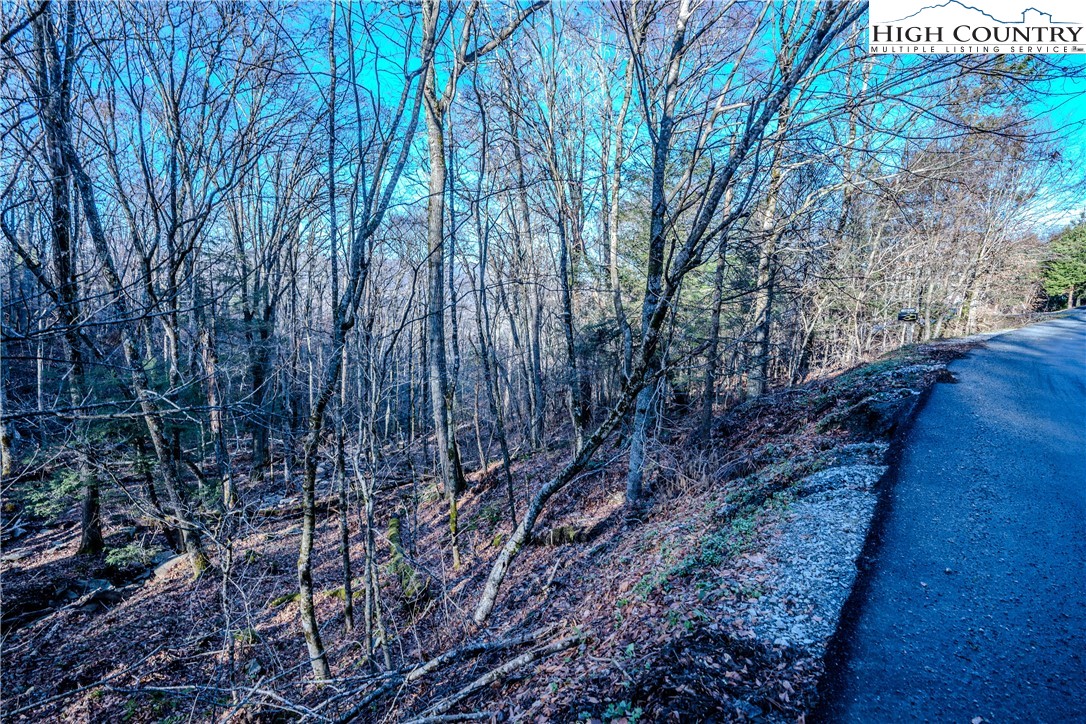 Lot 77 Rock Spring Circle Sugar Mountain, NC 28604 - Photo 6 of 20 a backyard of a house with lots of green space