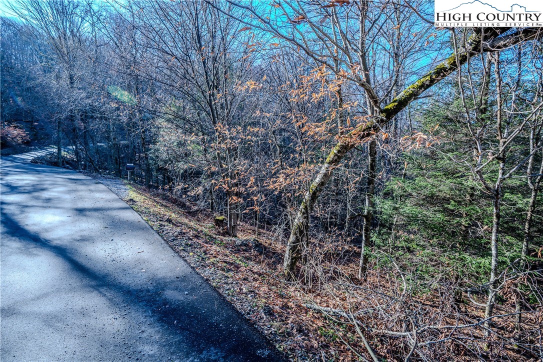 Lot 77 Rock Spring Circle Sugar Mountain, NC 28604 - Photo 8 of 20 a big yard with flowing stream of water in middle