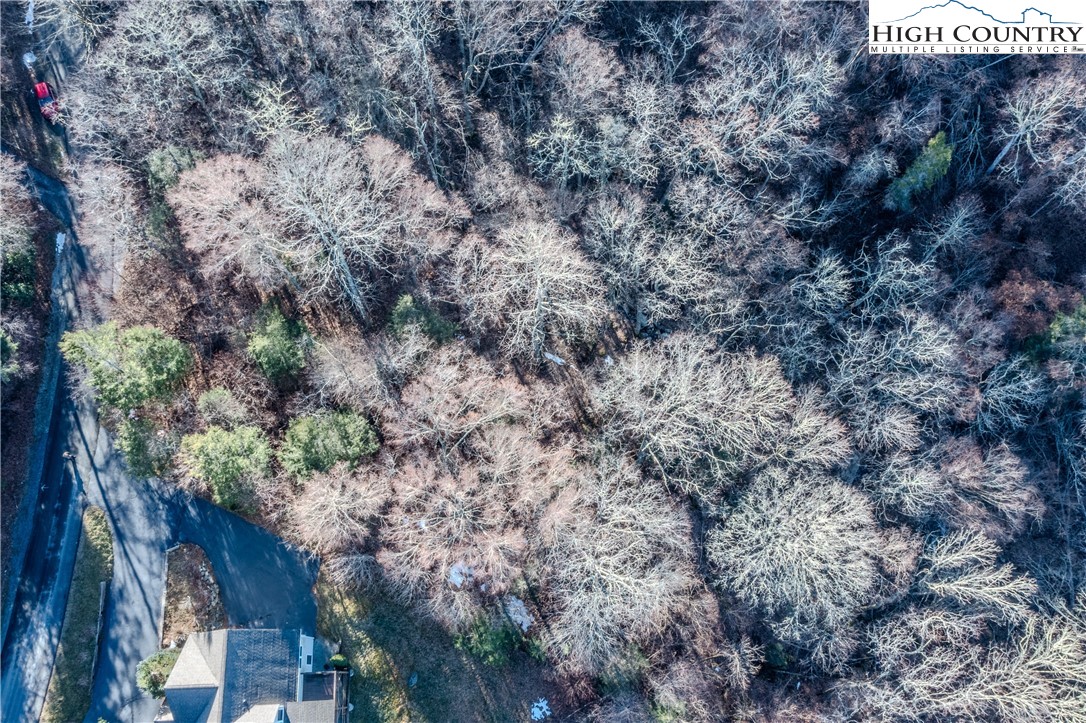 Lot 77 Rock Spring Circle Sugar Mountain, NC 28604 - Photo 10 of 20 a view of a dry yard with lots of bushes