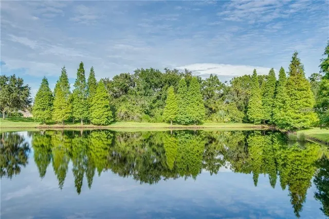 an aerial view of a house having yard swimming pool and a yard