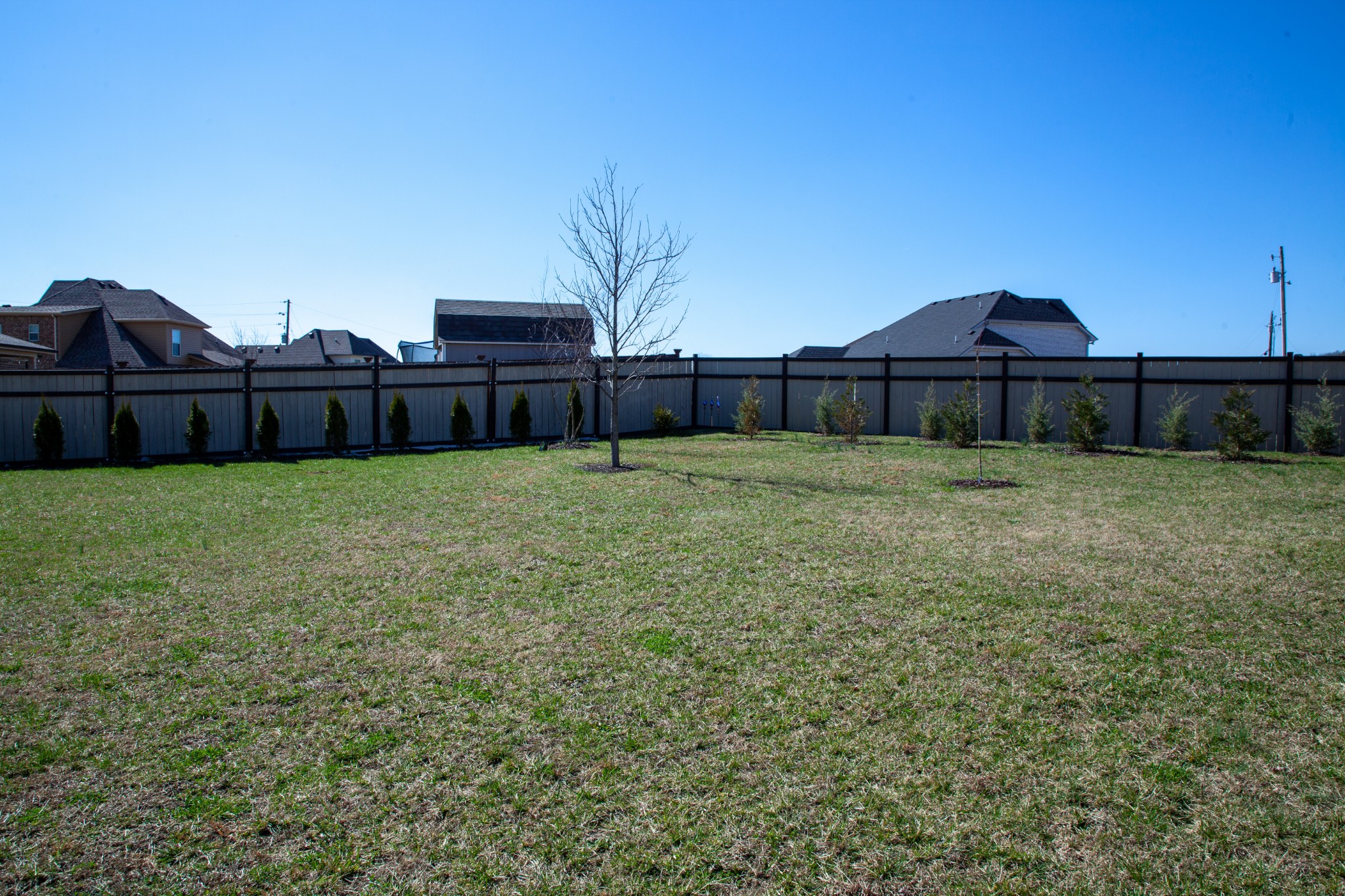 1401 Millstone Creek Road Lascassas, TN 37085 - Photo 47 of 49 Gallery Image 47