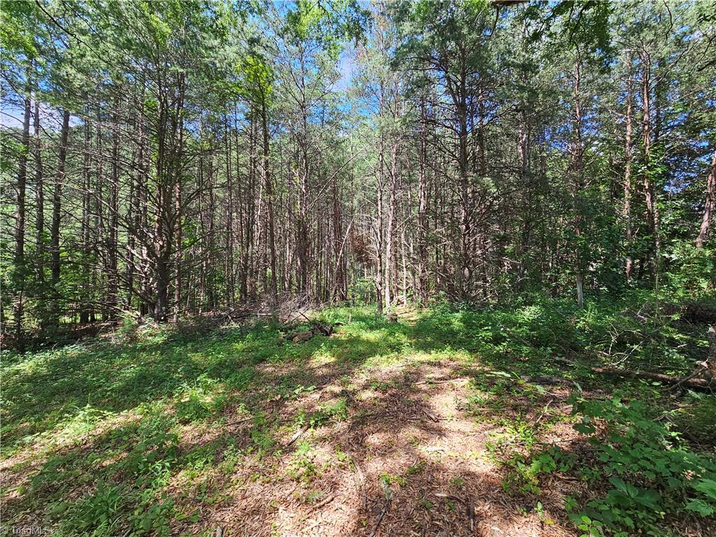 4413 Lewis Road East Bend, NC 27018 - Photo 20 of 23 Gallery Image 20
