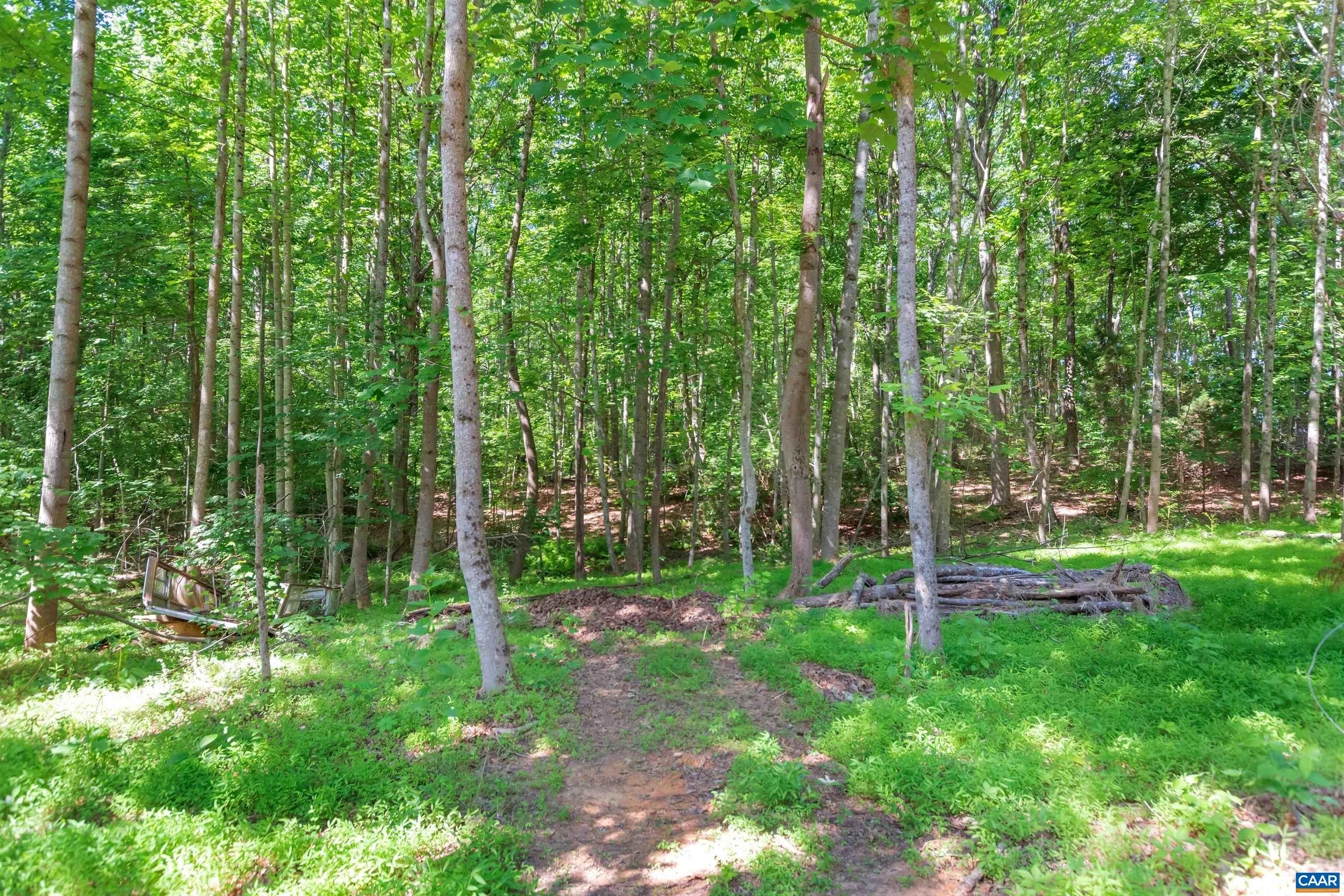 1820 Ridge Road Palmyra, VA 22963 - Photo 60 of 65 a view of green field with trees in the background