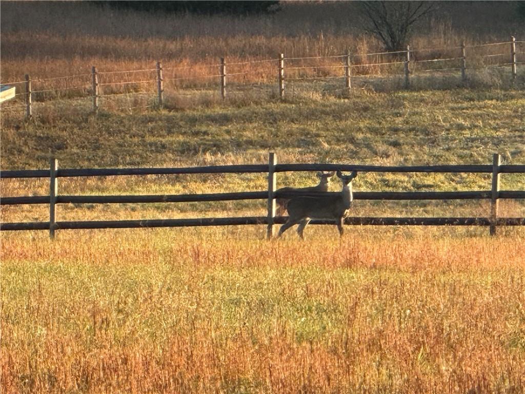 23237 Nall Road Bucyrus, KS 66013 - Photo 83 of 96