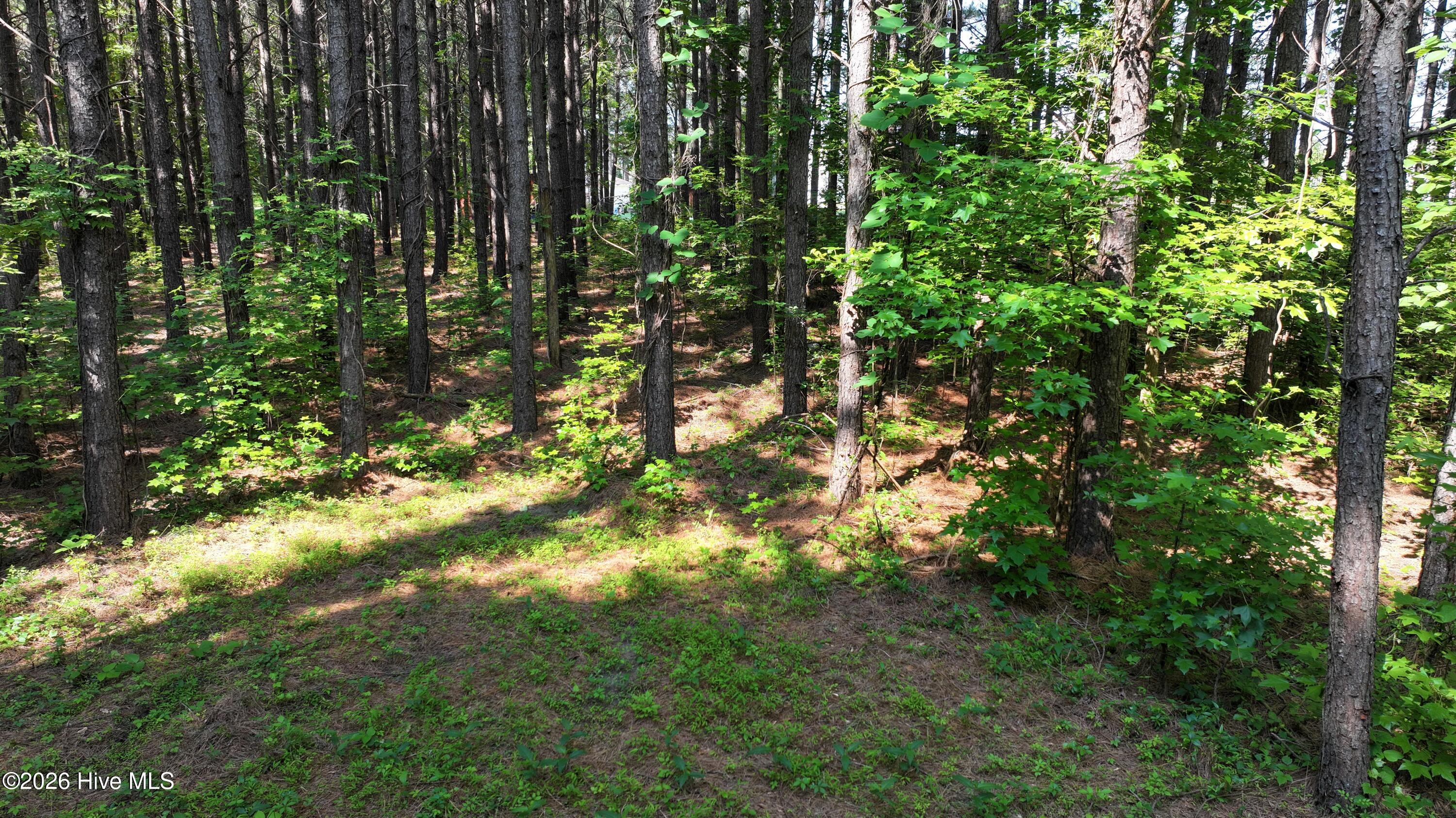 0 Cooper Branch Road Clayton, NC 27520 - Photo 26 of 34 25) 66471-69619ef64e752