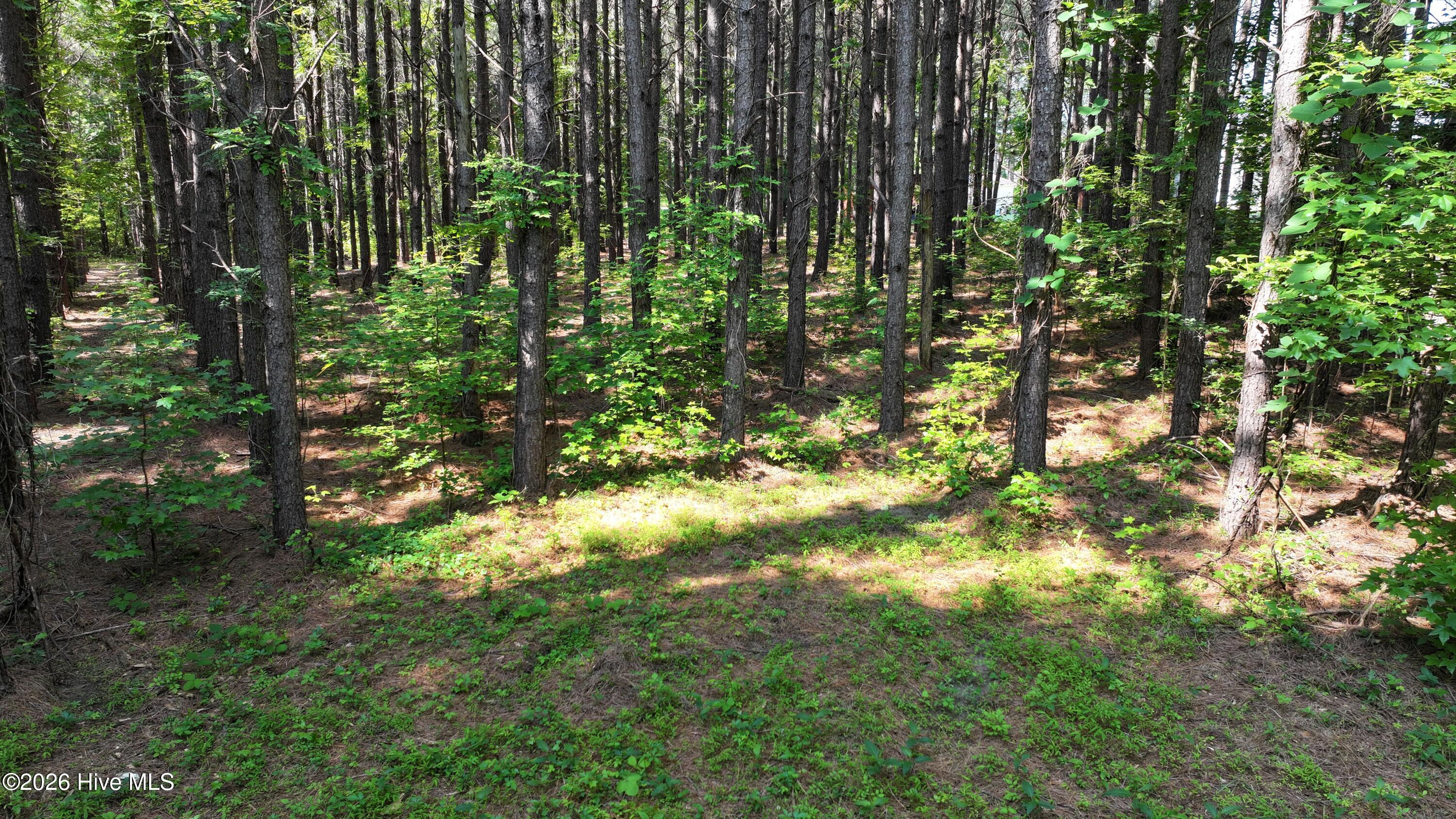 0 Cooper Branch Road Clayton, NC 27520 - Photo 27 of 34 26) 66471-69619efd3cefa