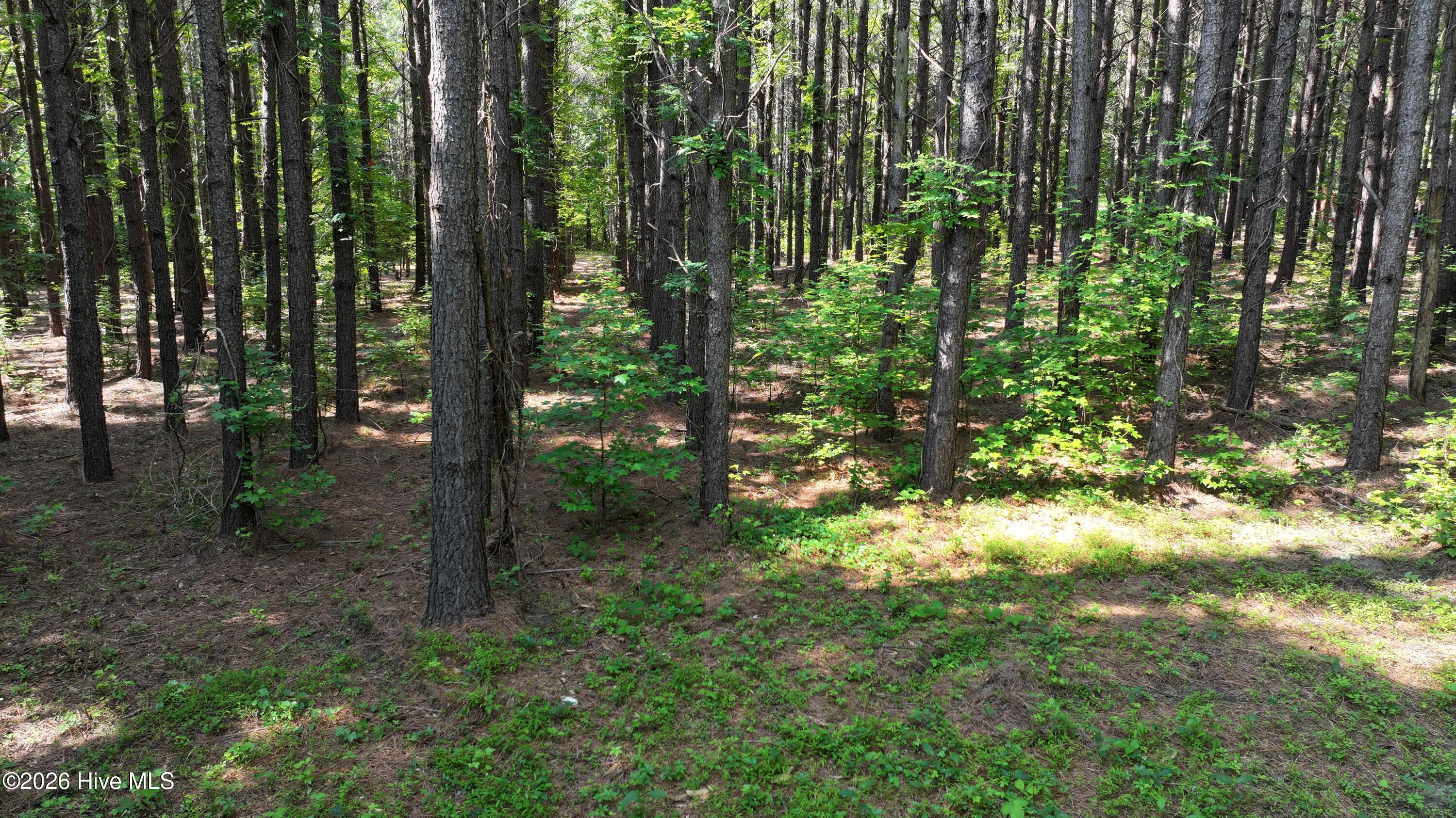 0 Cooper Branch Road Clayton, NC 27520 - Photo 28 of 34 27) 66471-69619ef9e261b