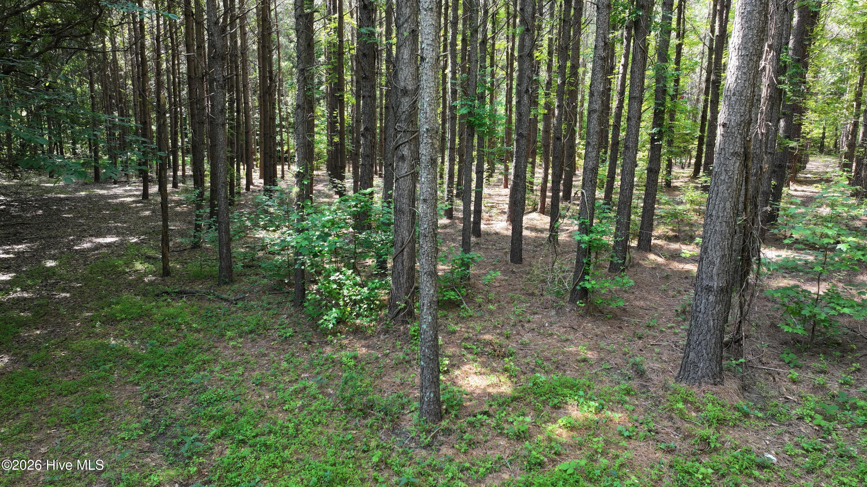 0 Cooper Branch Road Clayton, NC 27520 - Photo 29 of 34 28) 66471-69619f0280c89