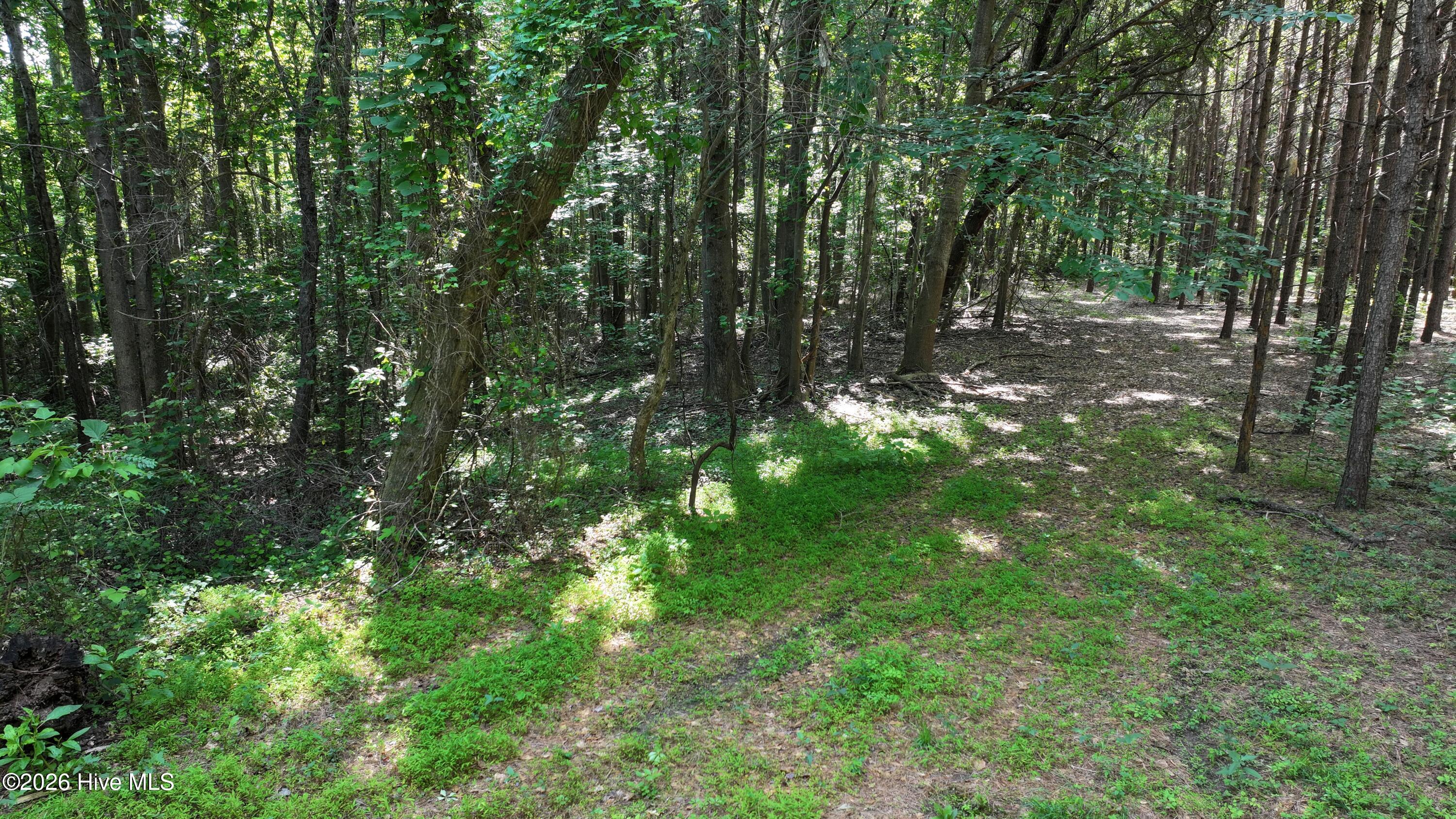 0 Cooper Branch Road Clayton, NC 27520 - Photo 30 of 34 29) 66471-69619f0597cdc