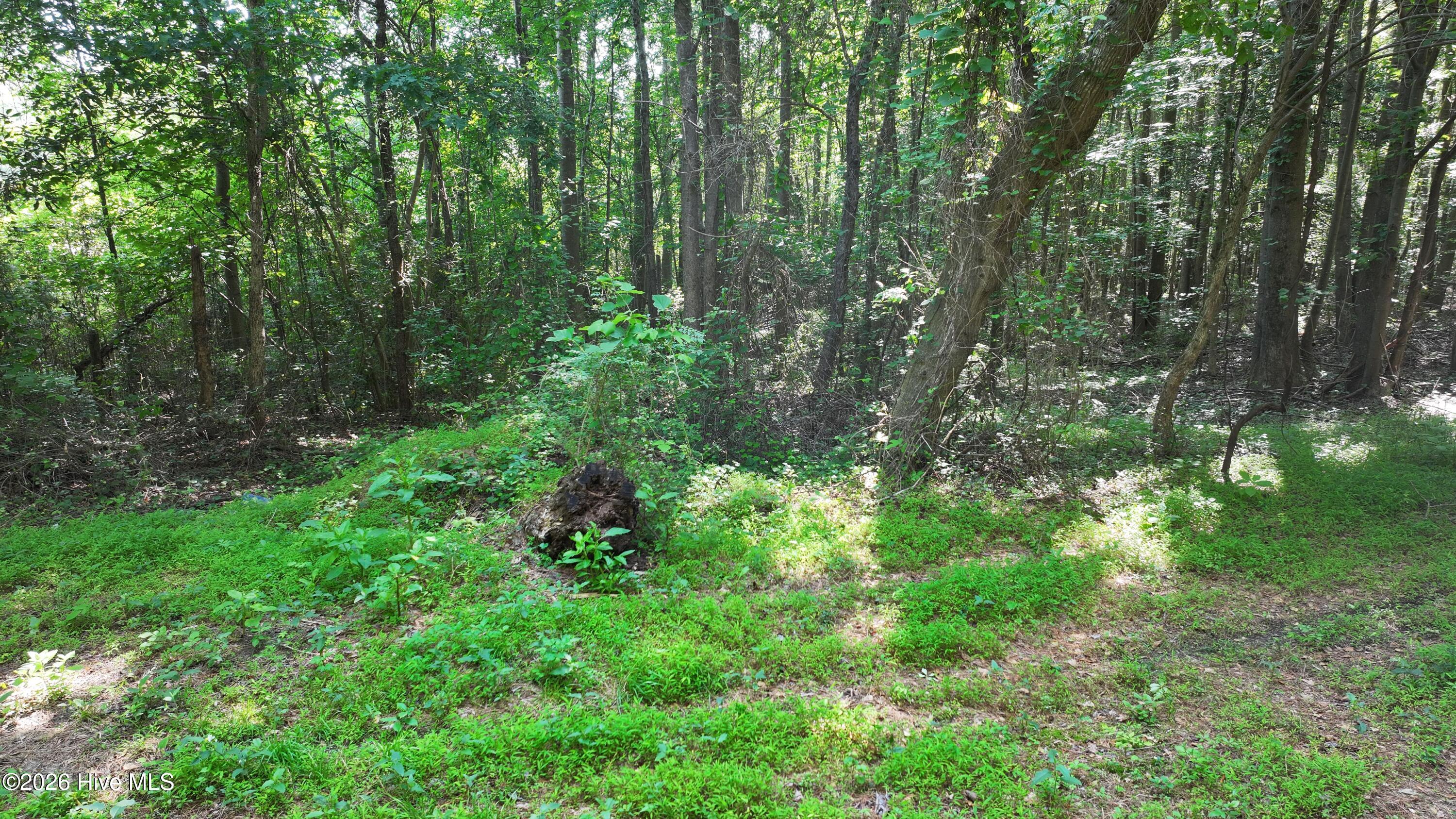 0 Cooper Branch Road Clayton, NC 27520 - Photo 31 of 34 30) 66471-69619f0ee9686