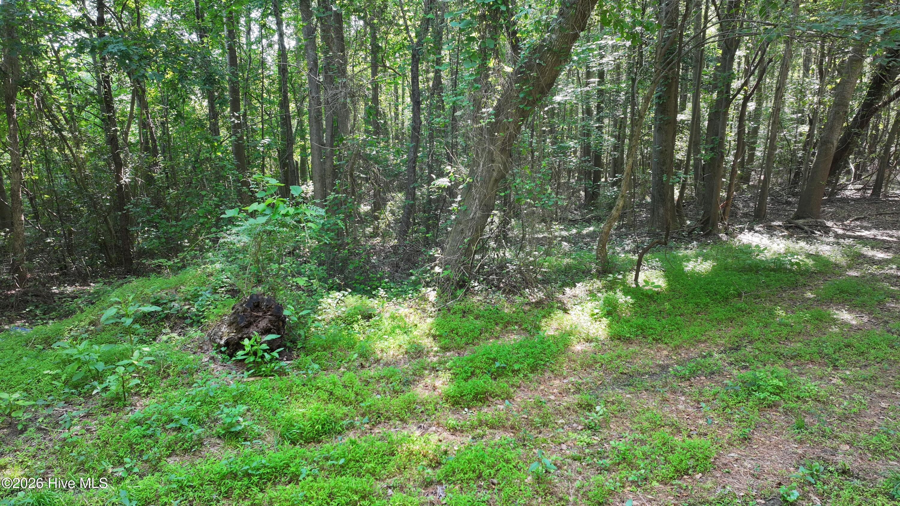 0 Cooper Branch Road Clayton, NC 27520 - Photo 32 of 34 31) 66471-69619f101d3e1