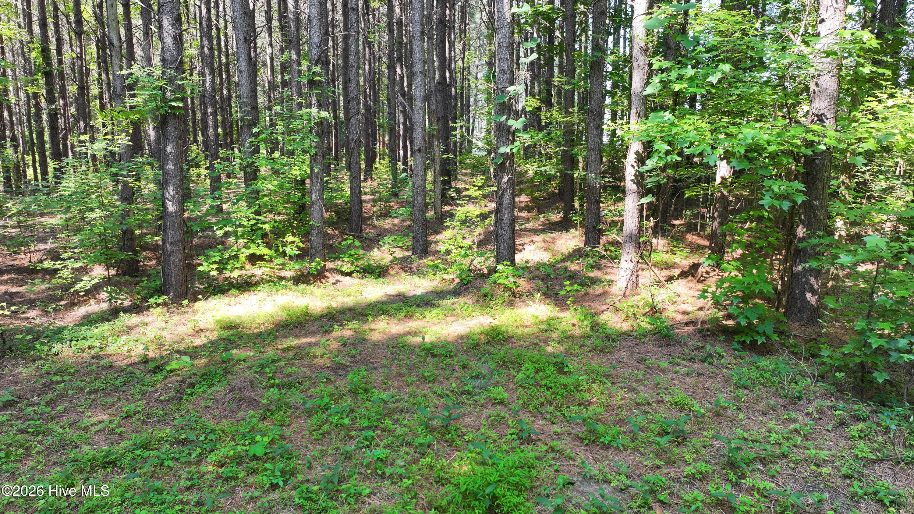 0 Cooper Branch Road Clayton, NC 27520 - Photo 33 of 34 32) 66471-69619f15e6d66