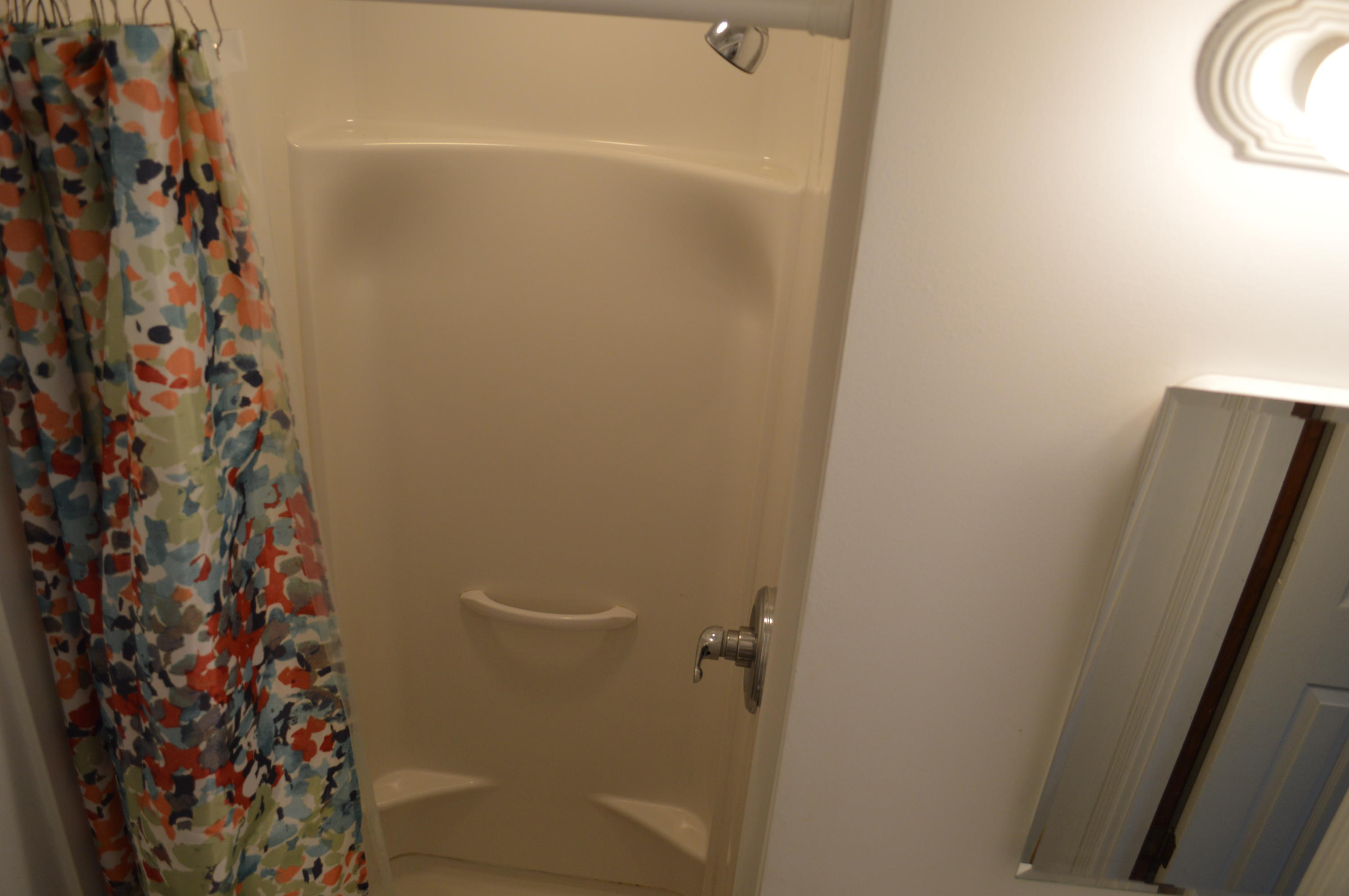 173 Cartmills Gap Road Buchanan, VA 24066 - Photo 11 of 25 master bath02