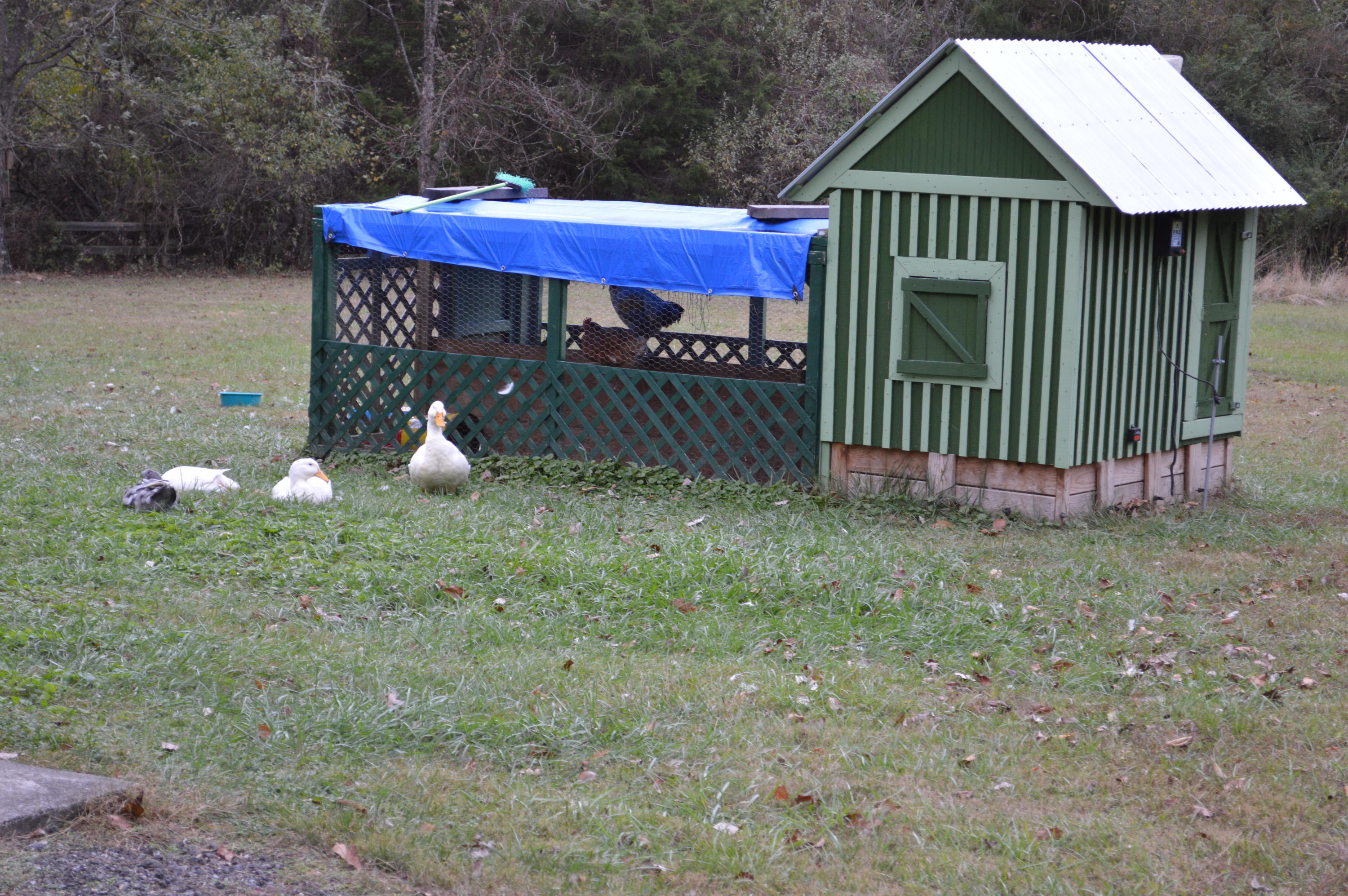 173 Cartmills Gap Road Buchanan, VA 24066 - Photo 14 of 25 DSC_0212