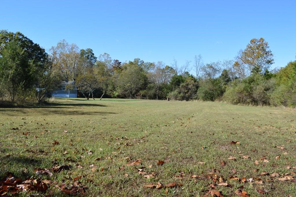 173 Cartmills Gap Road Buchanan, VA 24066 - Photo 23 of 25 land1