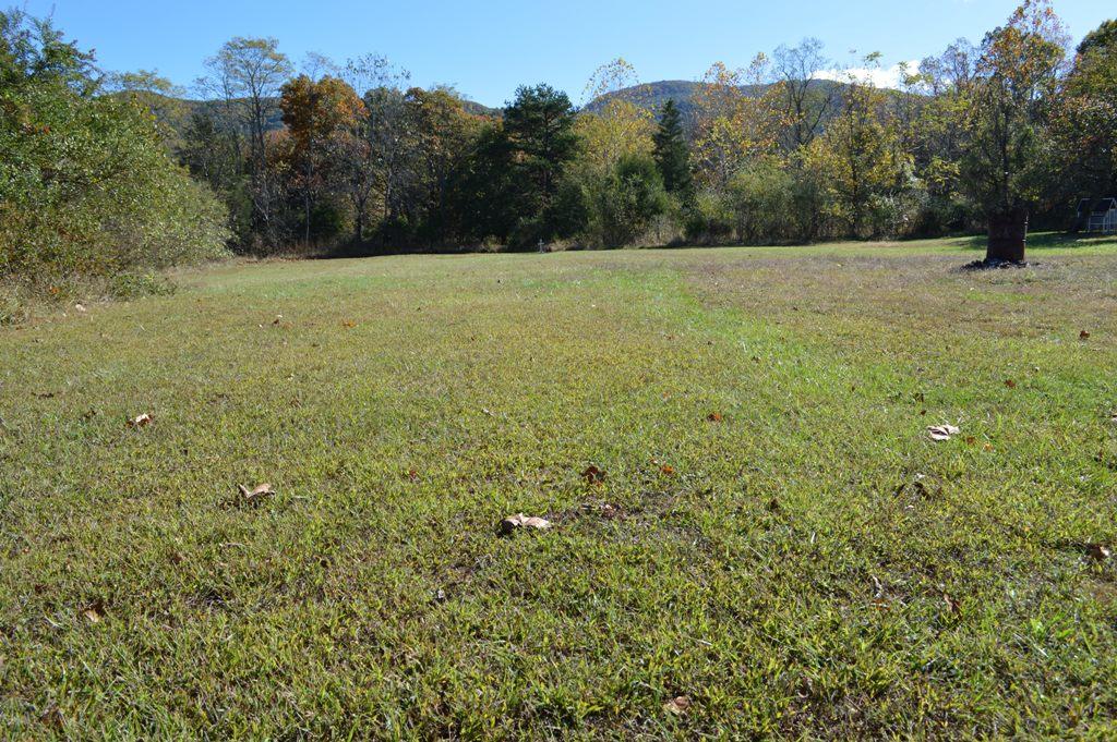 173 Cartmills Gap Road Buchanan, VA 24066 - Photo 24 of 25 land2