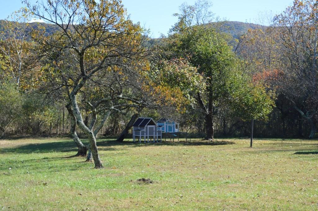 173 Cartmills Gap Road Buchanan, VA 24066 - Photo 25 of 25 land3