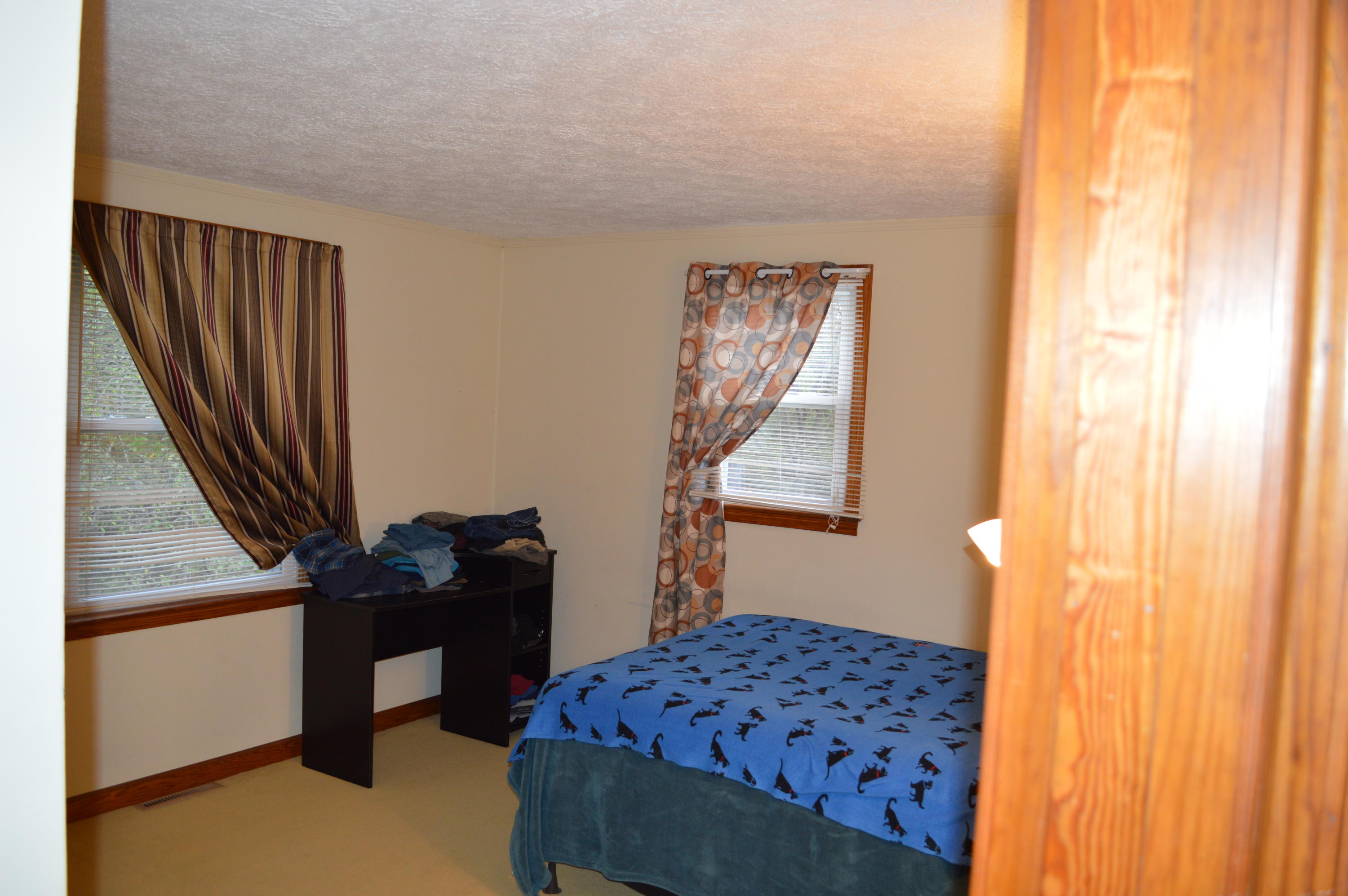 173 Cartmills Gap Road Buchanan, VA 24066 - Photo 7 of 25 bedroom