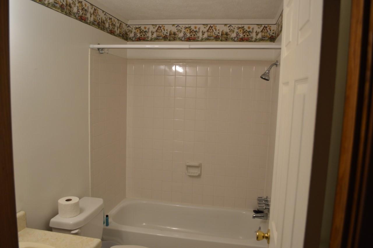 173 Cartmills Gap Road Buchanan, VA 24066 - Photo 8 of 25 full bath